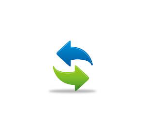 Dynamic IP Resolver App Logo